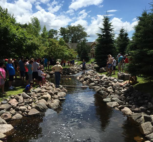 Kavanaugh's Sylvan Lake Resort